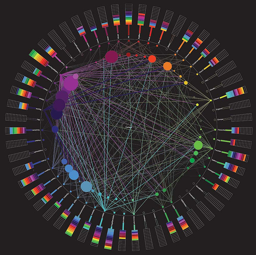 Information Graphic of Tag Mapping