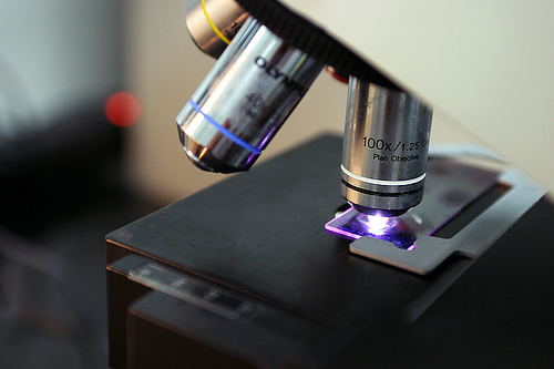 Closeup of a slide on a microscope