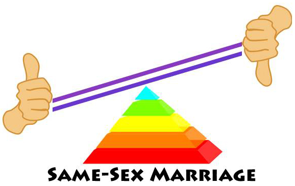 Same-Sex Marriage Attitudes - Image