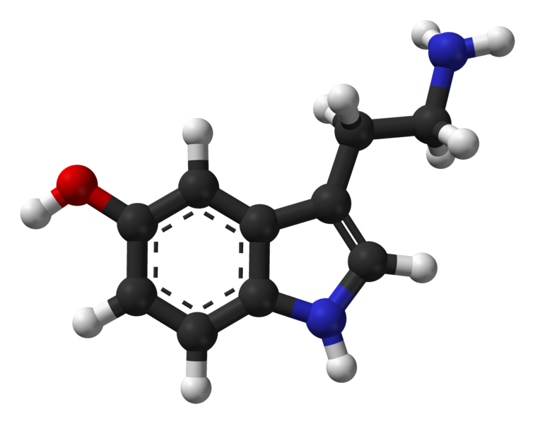 Ball-and-stick model of the serotonin molecule