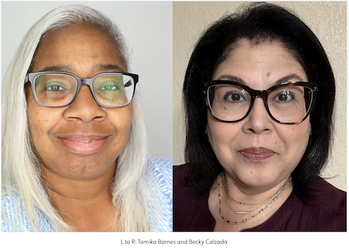 Tamika Barnes, Associate Dean, Perimeter College Library Services at Georgia State University Library